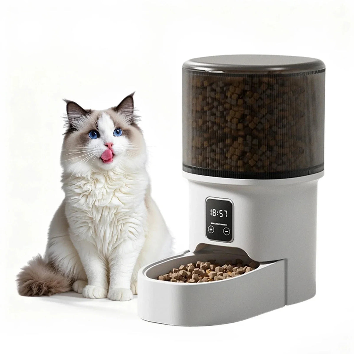 Bowls & Feeders