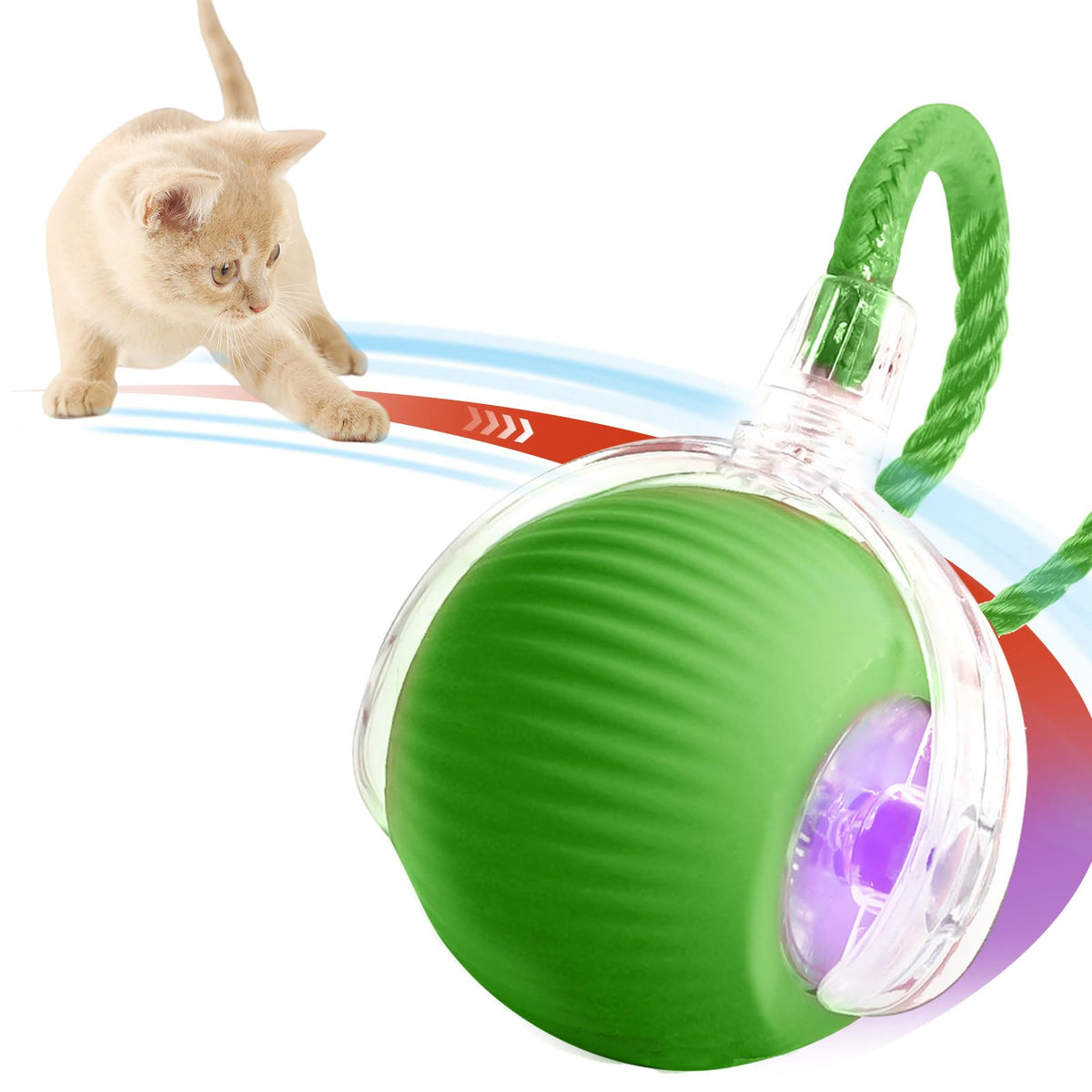 Cat Toys