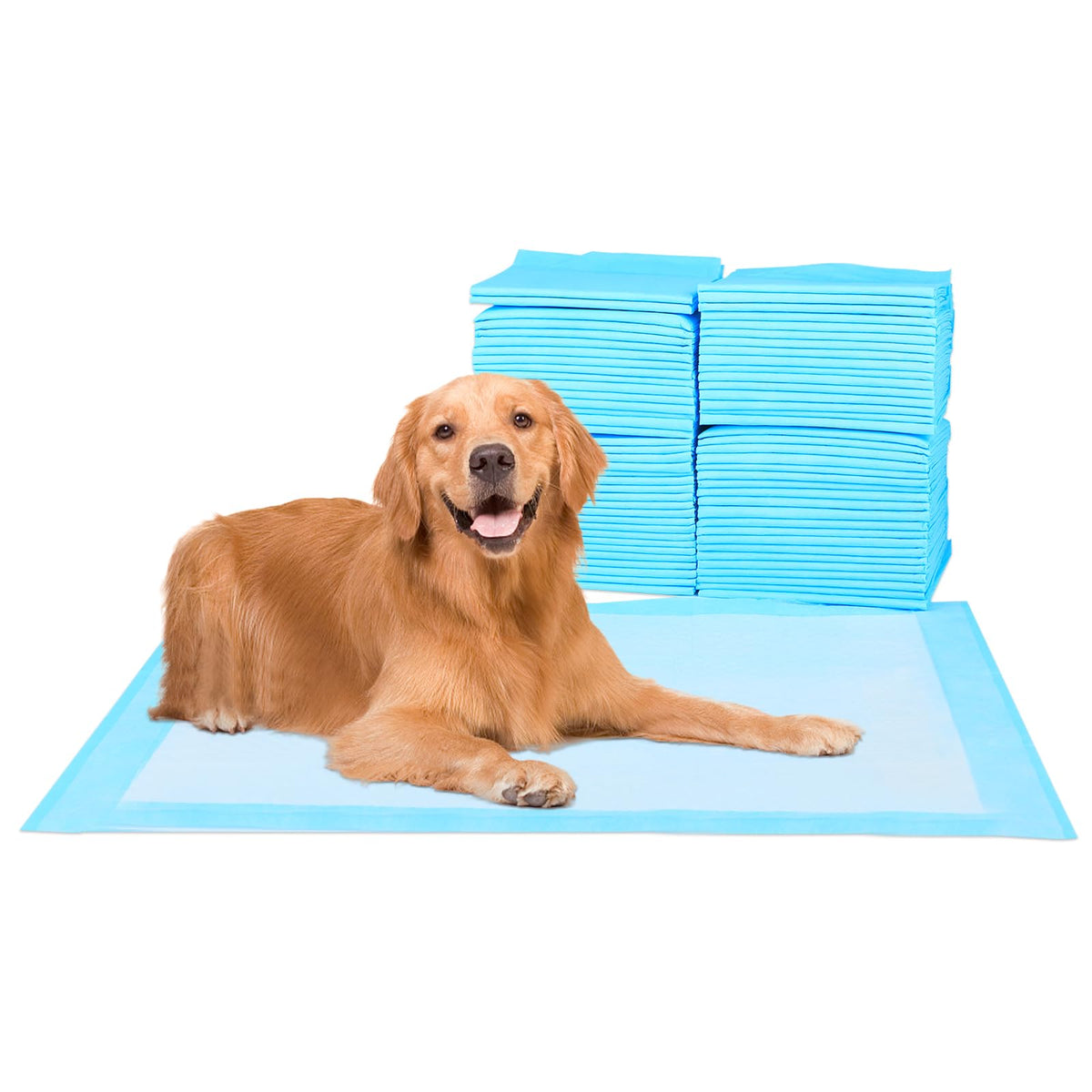 Pet Essentials