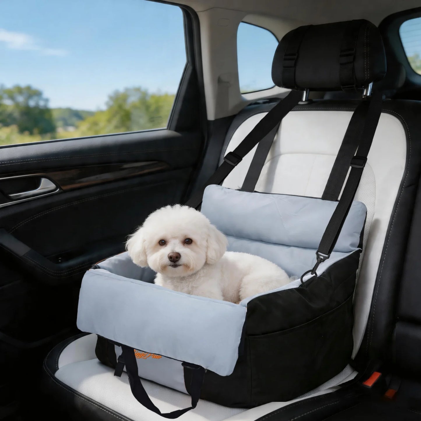 Dog Car Seat for Small Dogs Washable Pet Booster Car Seats with Safety Belt Puppy Travel Carrier Bed Black/Green up to 22 lbs