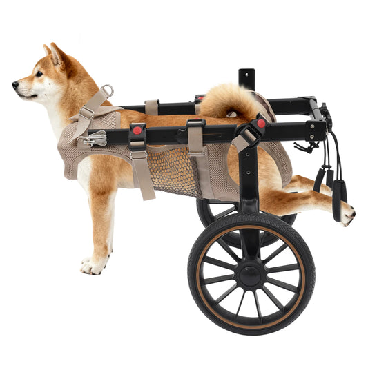 Adjustable Aluminum Alloy 2-Wheel Dog Wheelchair, Hind Leg Support Pet Rehabilitation Walking Aid Trolley, Supports Dogs Up to 65kg XXL /L for Injured, Paralyzed, Arthritic Dogs