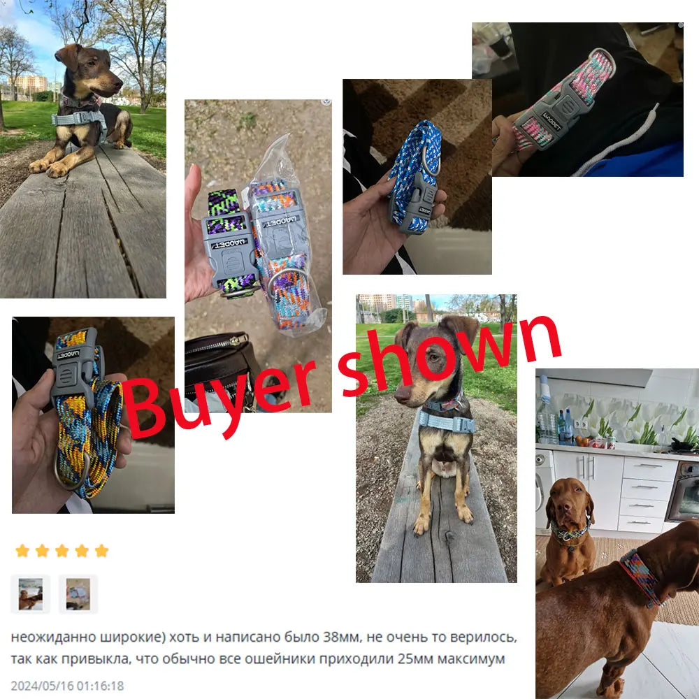 Pet Supplies Dog Collar For Puppy Medium Large Dogs Cute Cat Durable Life Dog Leash Collar German Shepherd Walking Training New