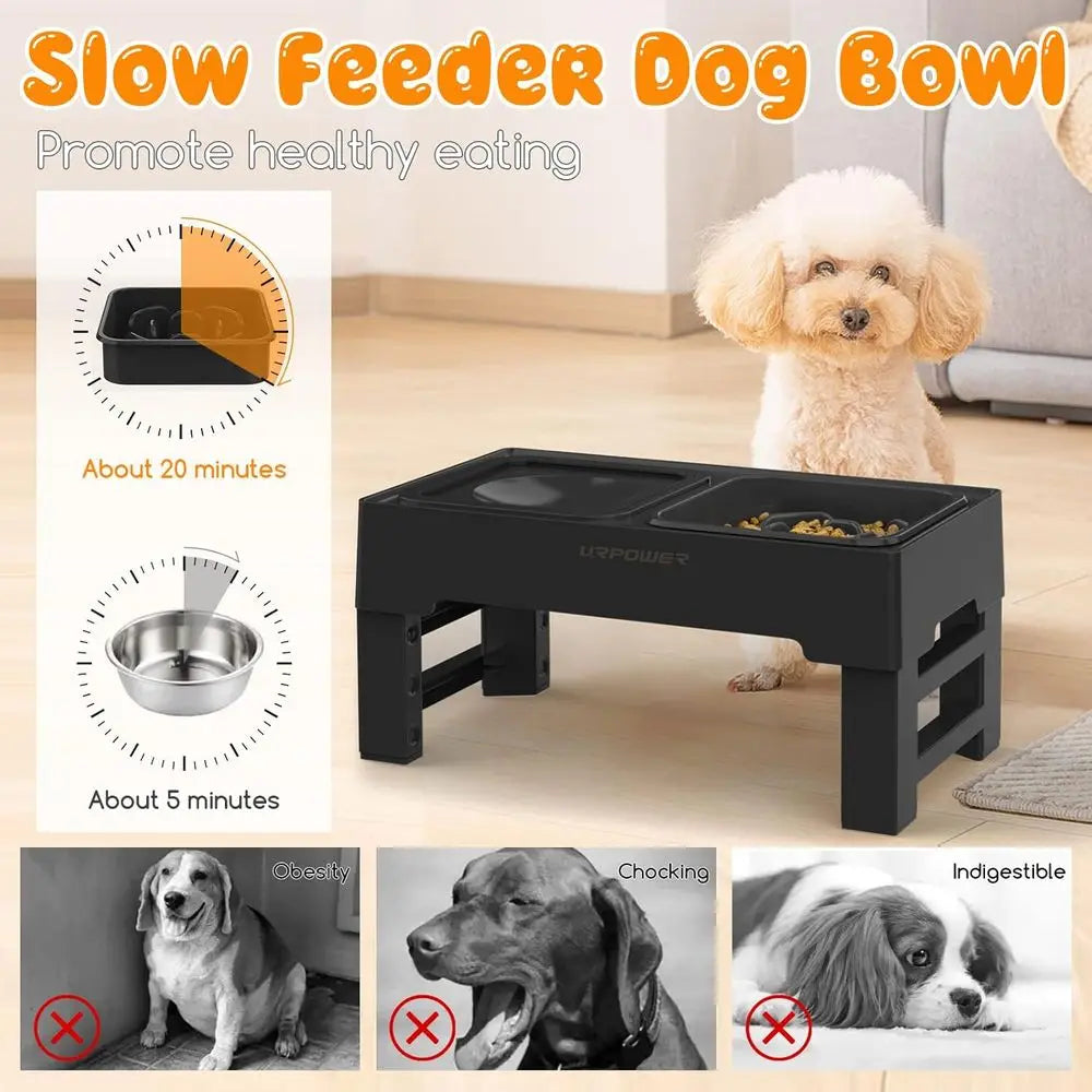 2-in-1 Elevated Slow Feeder Dog Bowls with No-Spill Water Bowl, 4 Height-Adjustable Raised Dog Bowls, Non-Slip Food and Water Bo