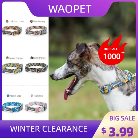 Pet Supplies Dog Collar For Puppy Medium Large Dogs Cute Cat Durable Life Dog Leash Collar German Shepherd Walking Training New